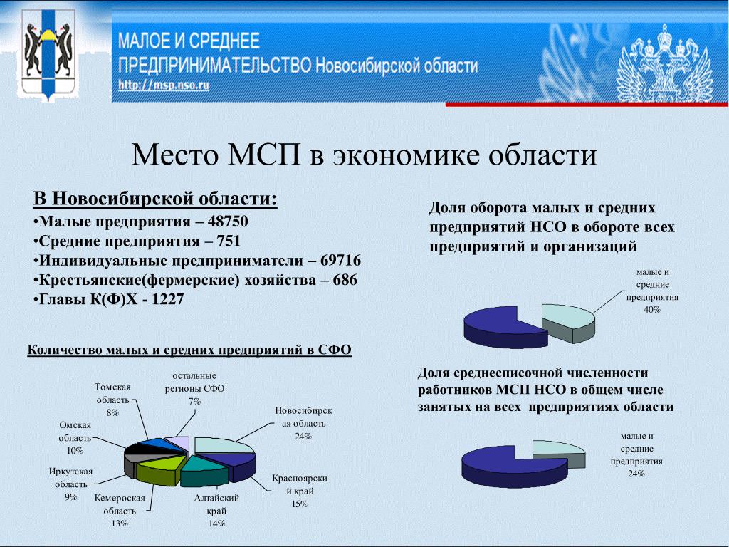 Малое и среднее предпринимательство в регионе